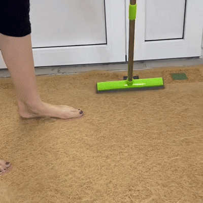 Pet Hair Removal Broom